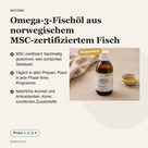 Omega-3-Fischöl aus norwegischem MSC-zertifiziertem Fisch voordelen