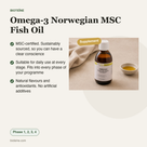 Omega-3 Norwegian MSC Fish Oil voordelen